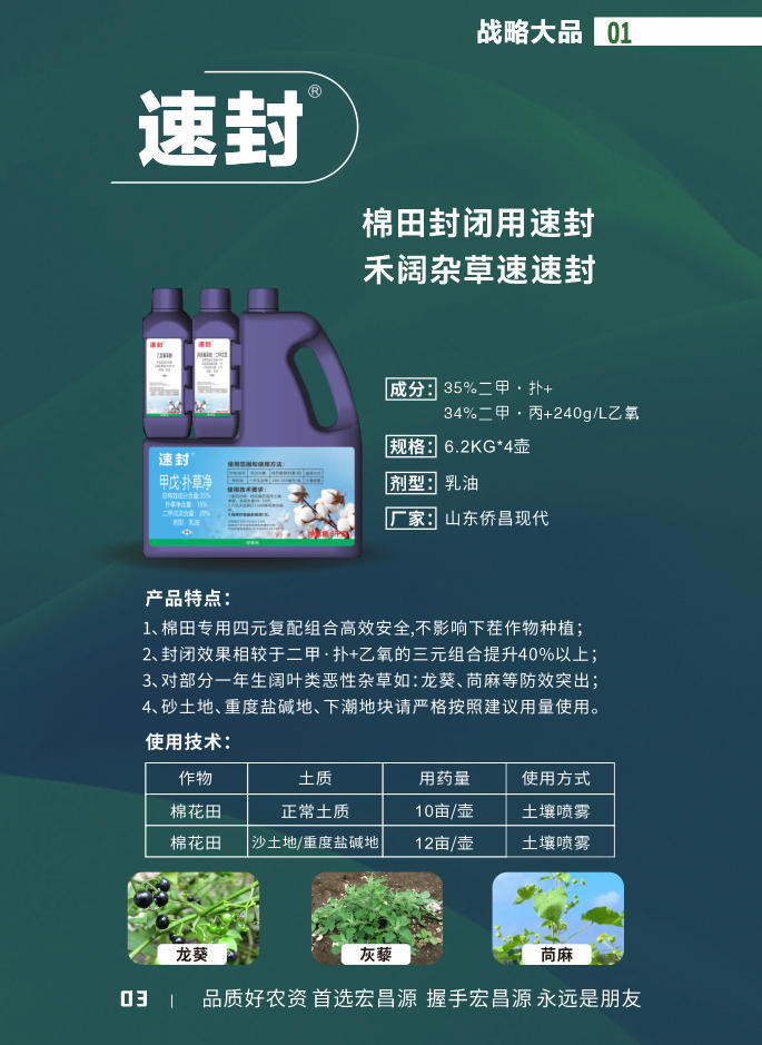 01速封.jpg