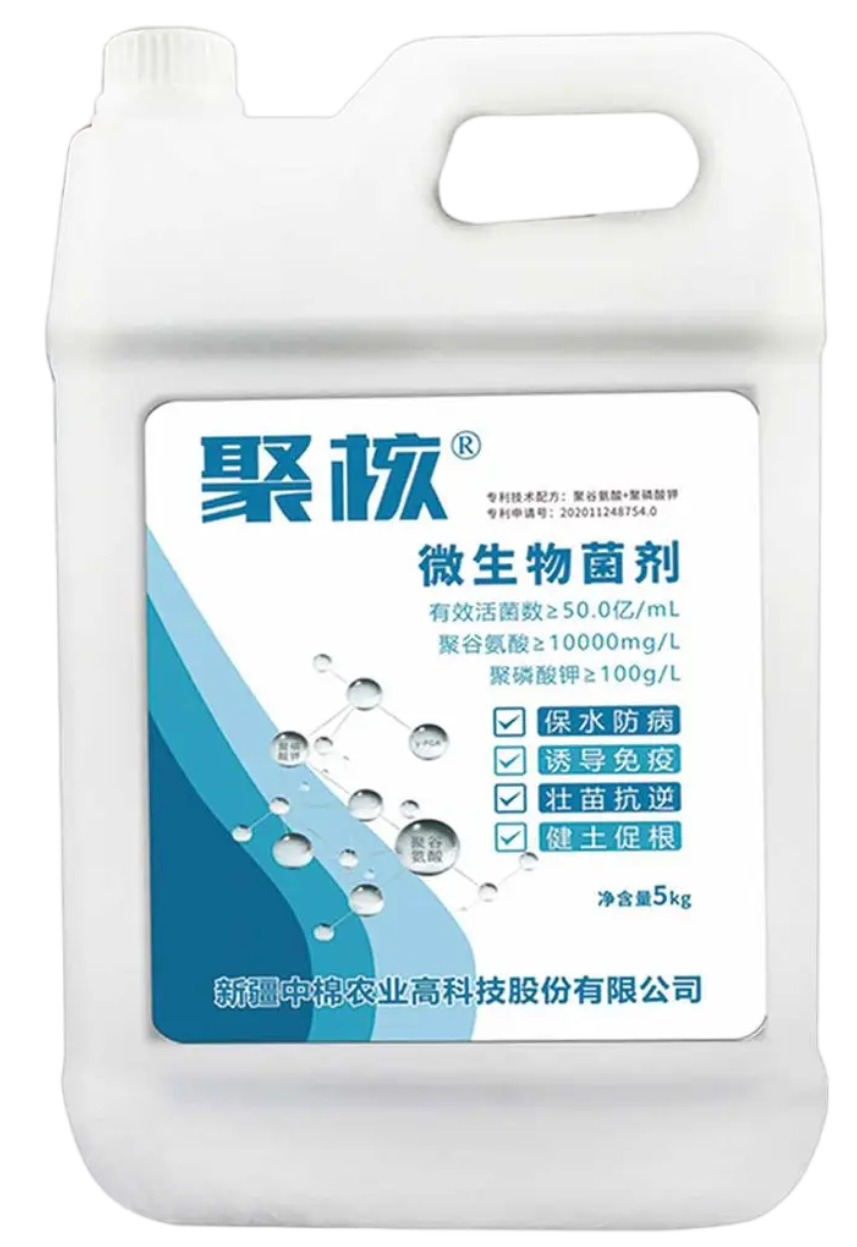 聚核